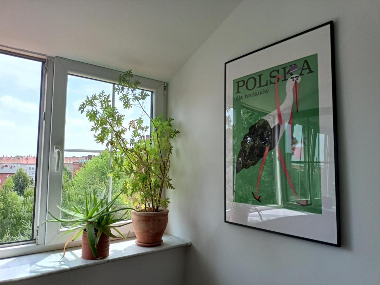 Lemuria Pokoje Hostel Chojnowska A Legnica Exteriör bild