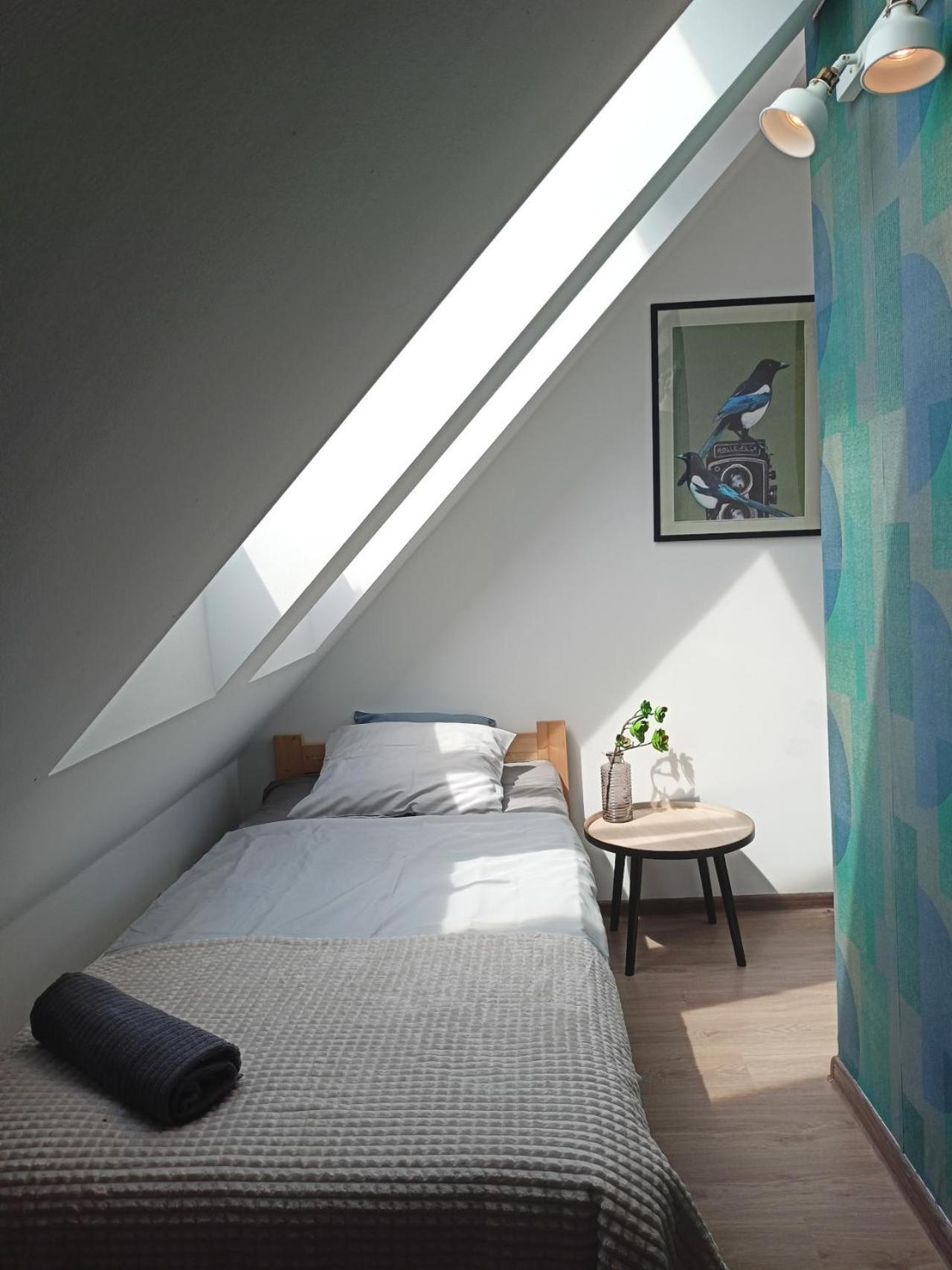 Lemuria Pokoje Hostel Chojnowska A Legnica Exteriör bild