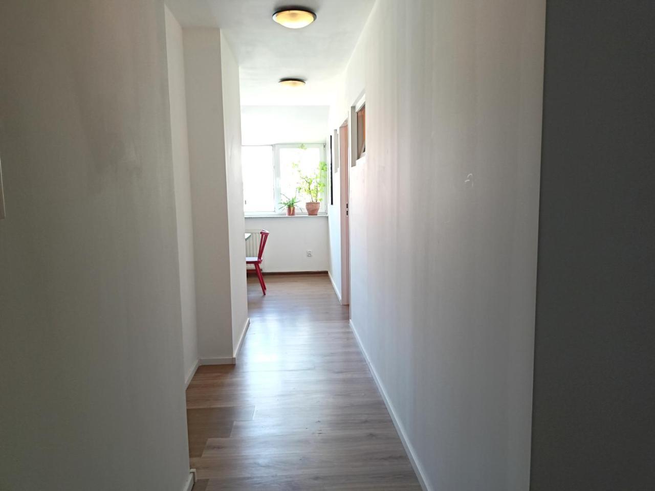 Lemuria Pokoje Hostel Chojnowska A Legnica Exteriör bild