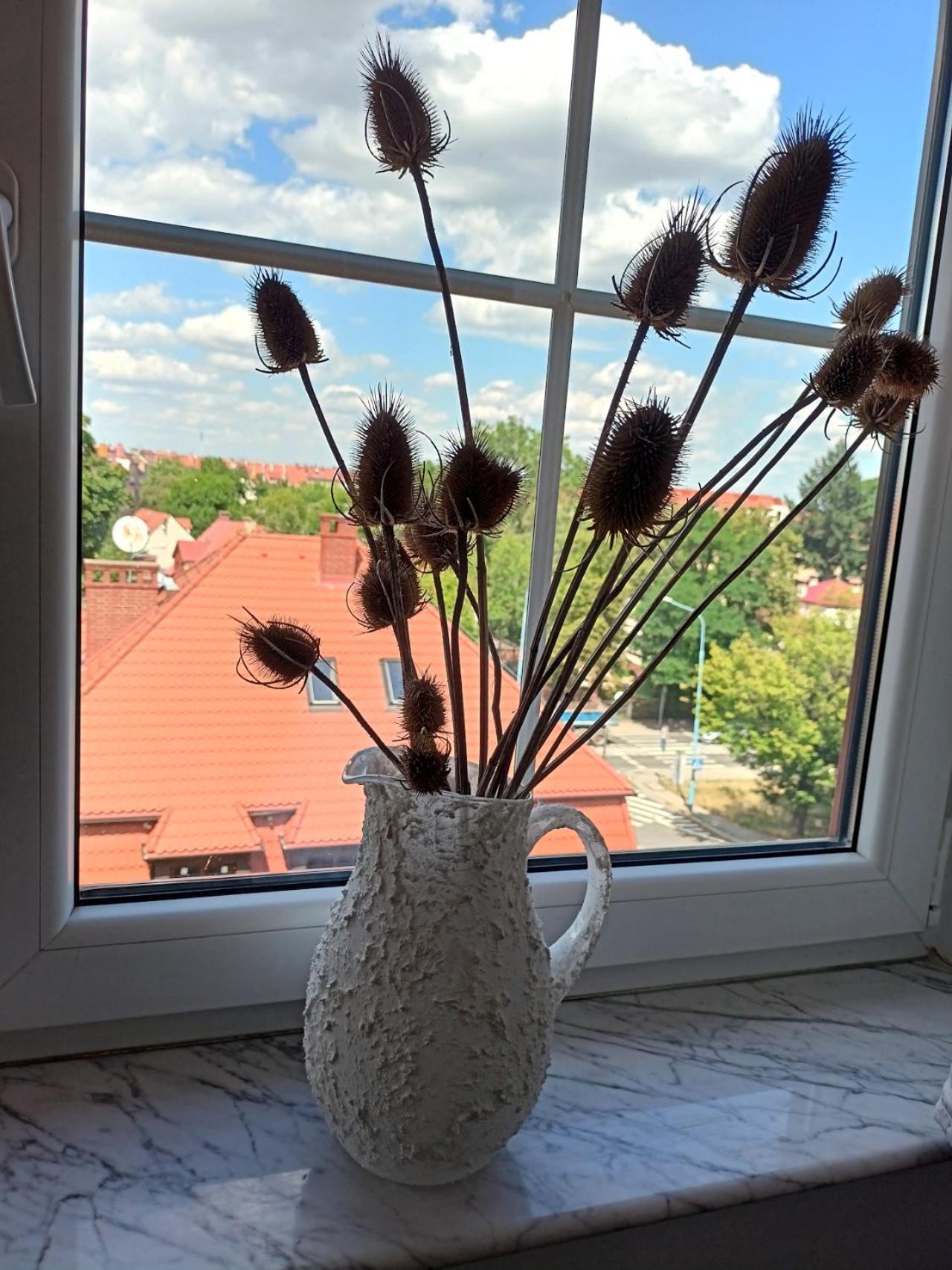 Lemuria Pokoje Hostel Chojnowska A Legnica Exteriör bild